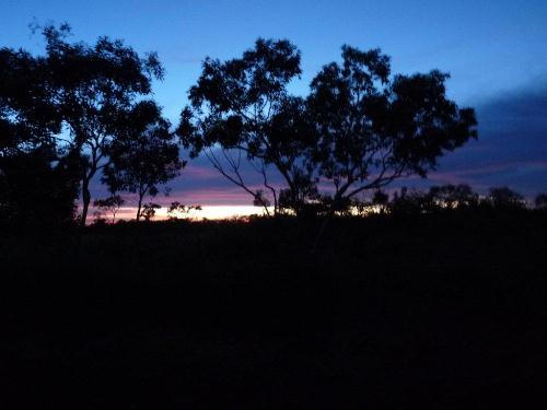 Sunrise on Tanami Road